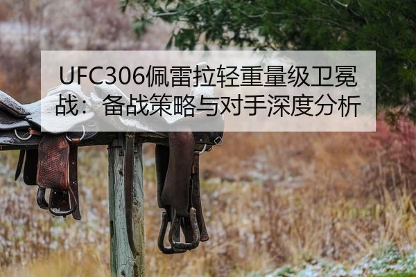 UFC306佩雷拉轻重量级卫冕战：备战策略与对手深度分析